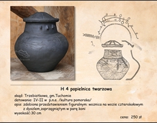 H 4  popielnica trzebiatkowa